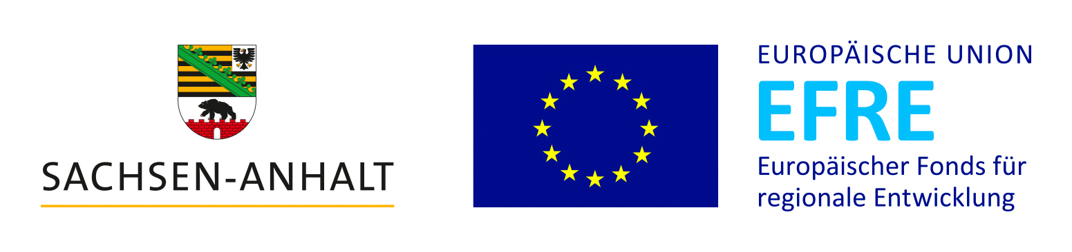 SA EFRE Logo